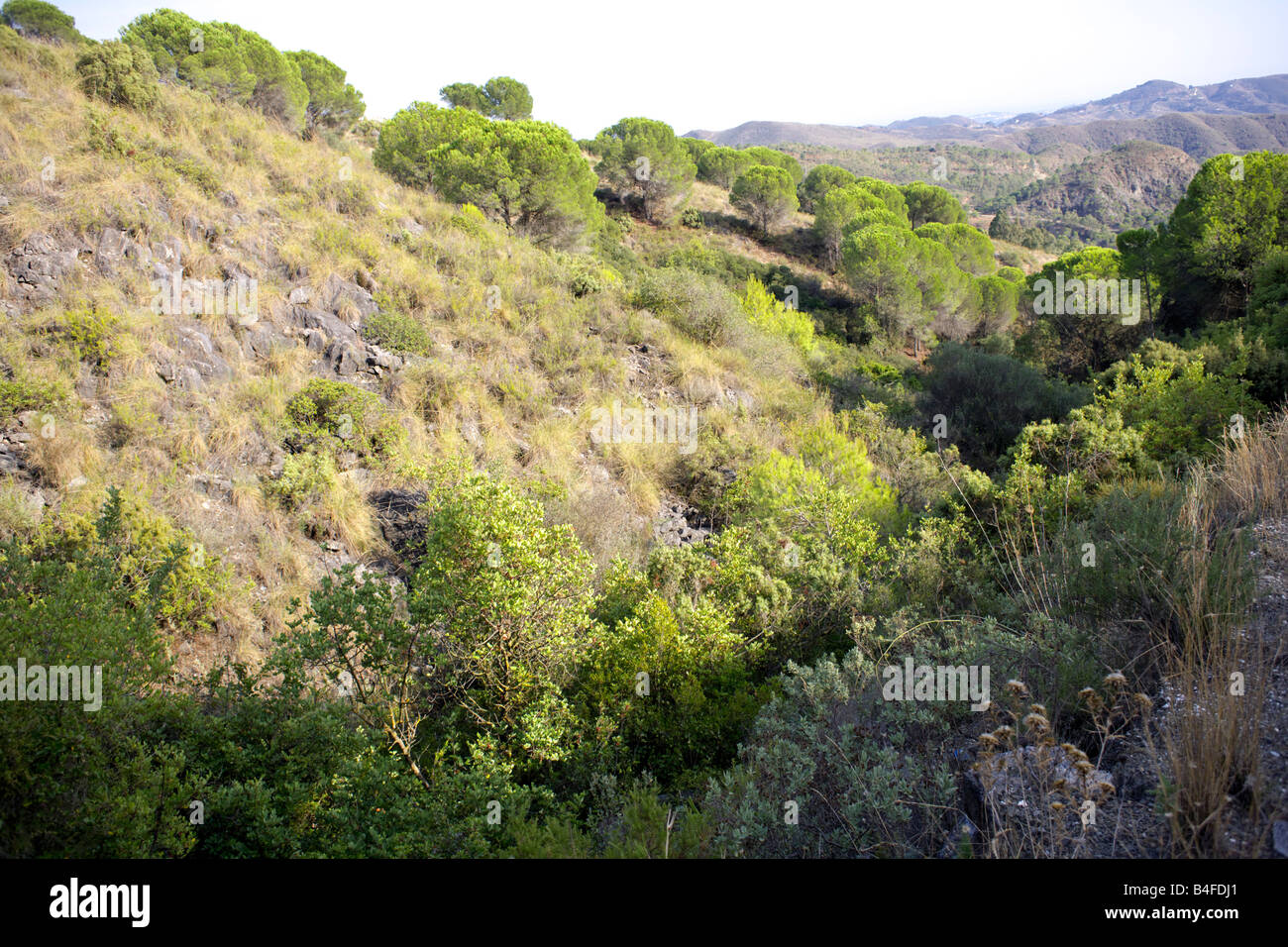 Barranco Blanco, Andalusia Spagna meridionale, Europa Foto Stock