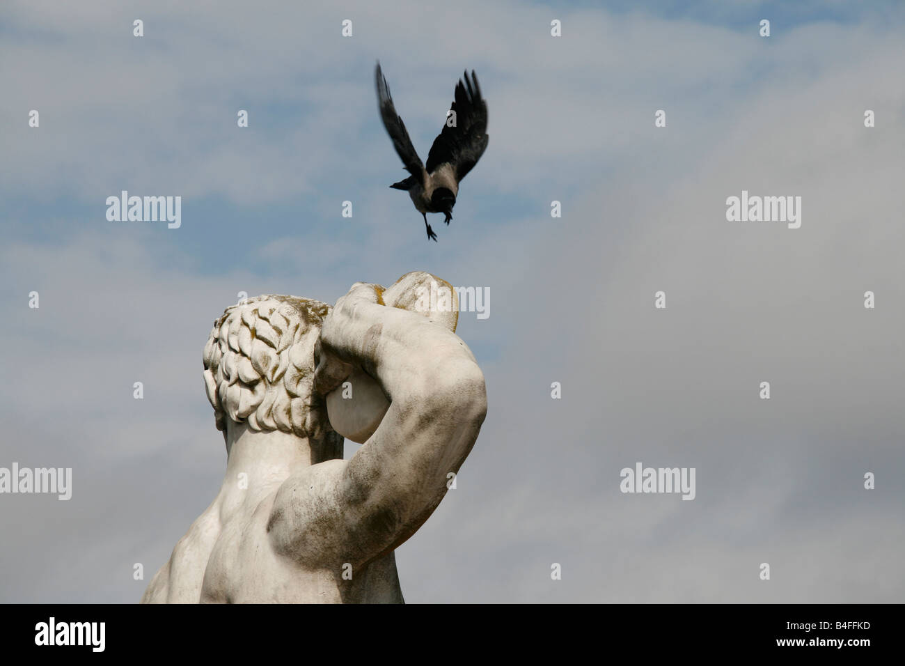 Black Bird sulla Statua virile allo stadio dei marmi roma Foto Stock