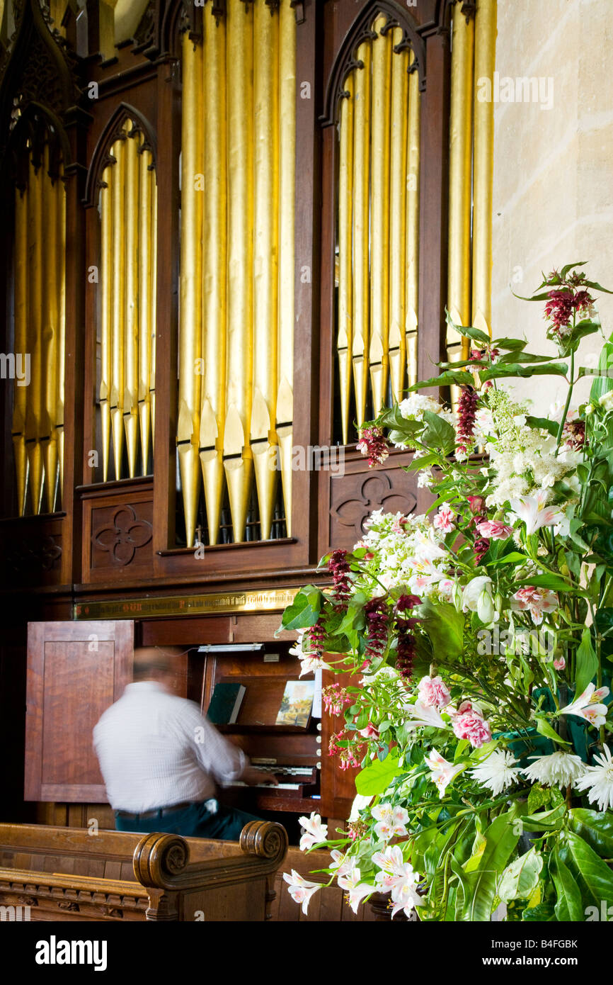 L'uomo gioca l'organo nella chiesa del villaggio di Santa Maria a vescovi Canning, Wiltshire, Inghilterra, Gran Bretagna, Regno Unito Foto Stock