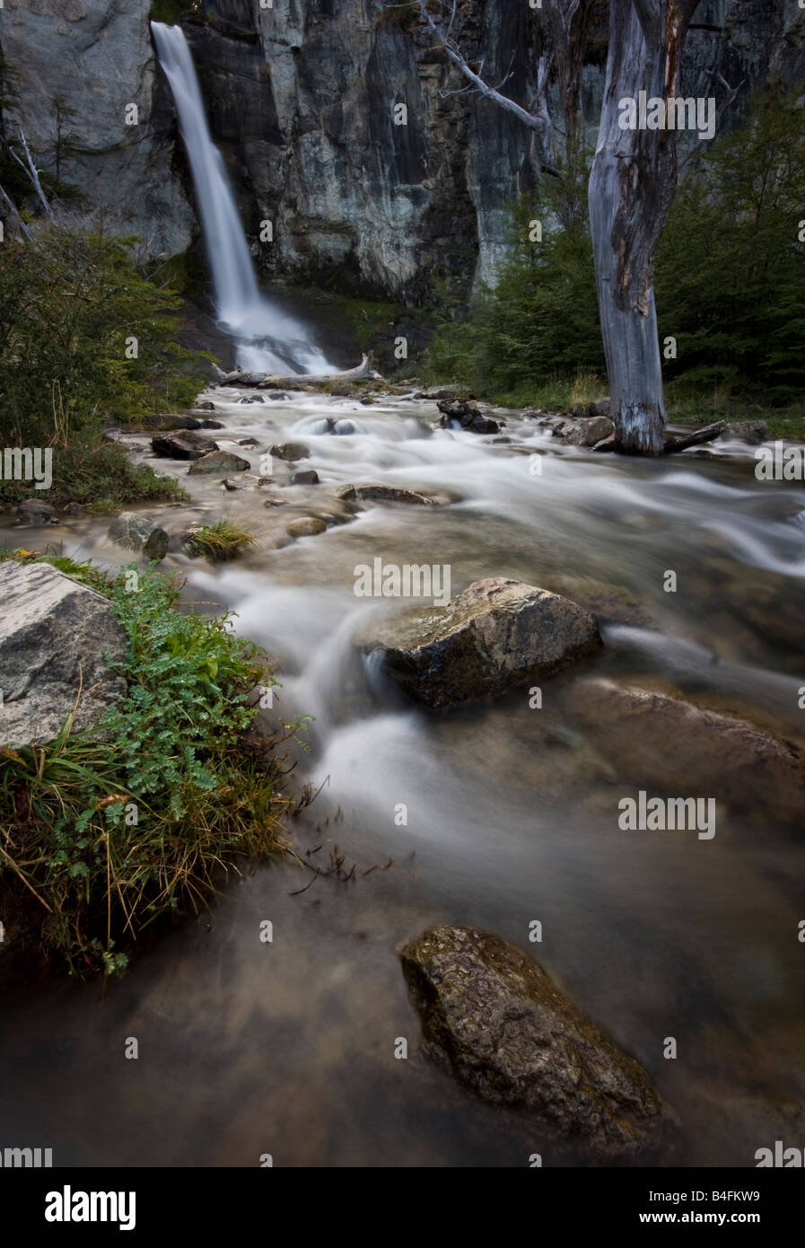 Chorrillo del Salto cade. El Chalten. La Patagonia Argentina. Foto Stock