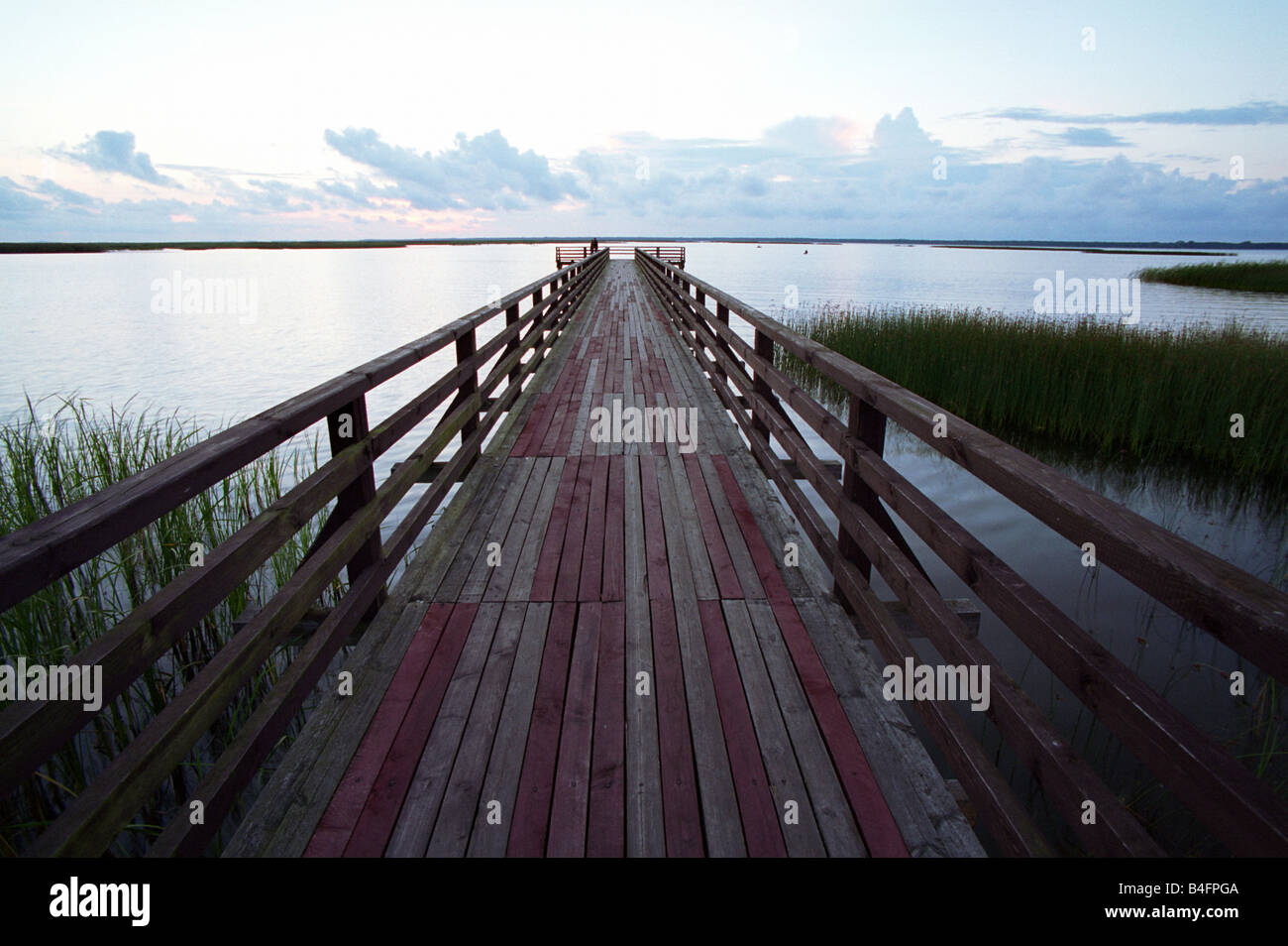 Un molo presso il lago Lebsko, Polonia Foto Stock