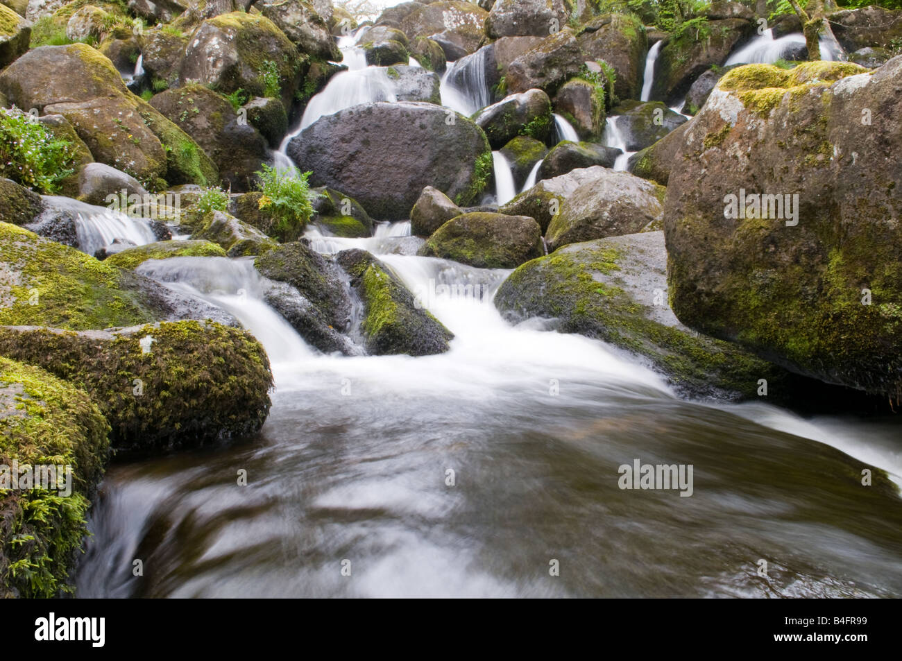 Becky Falls, Parco Nazionale di Dartmoor Foto Stock