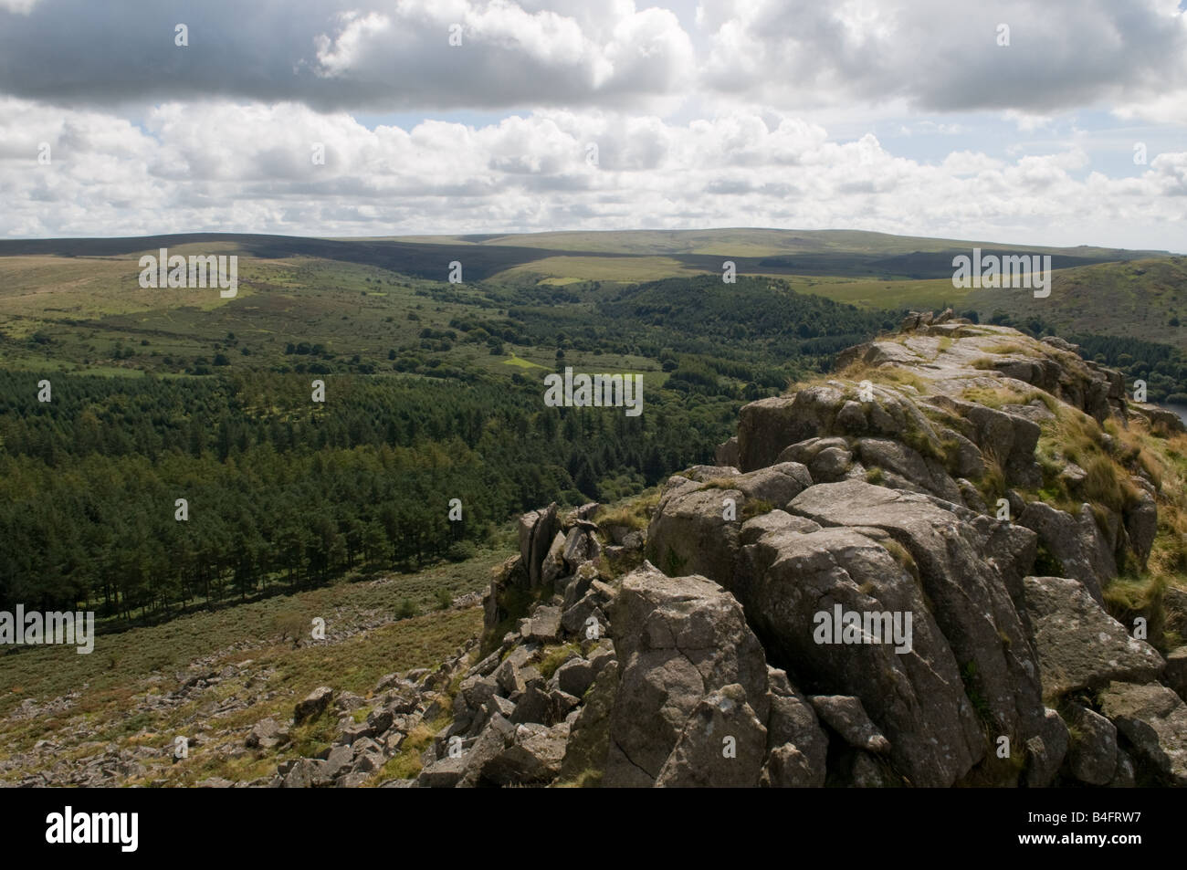 Una vista di cuoio da Tor su Dartmoor Foto Stock