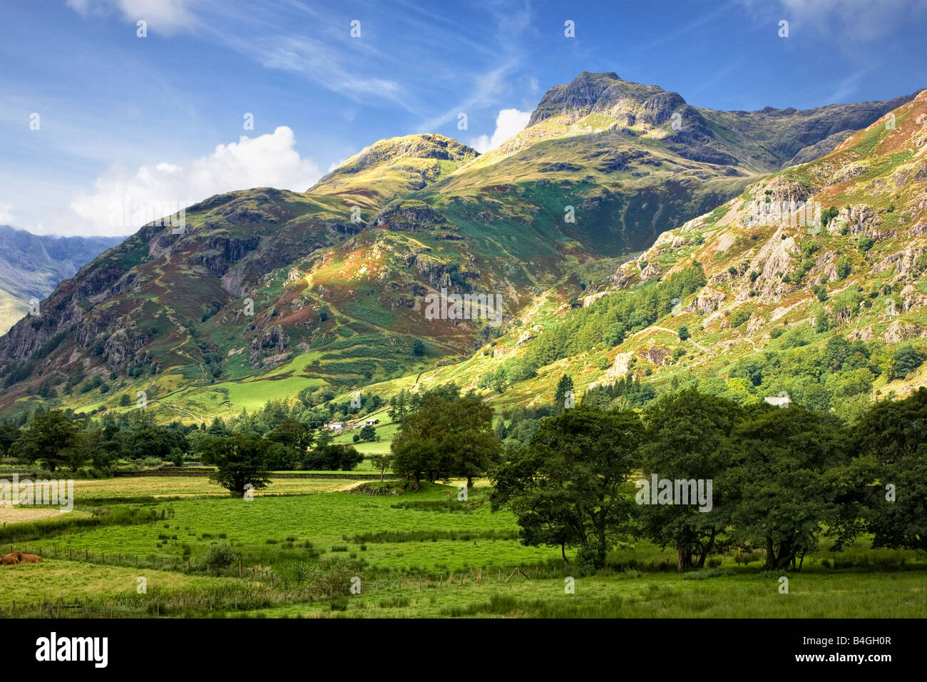 Langdale Pikes in The Langdale Valley, inglese Parco Nazionale del Distretto dei Laghi, Cumbria, England, Regno Unito Foto Stock