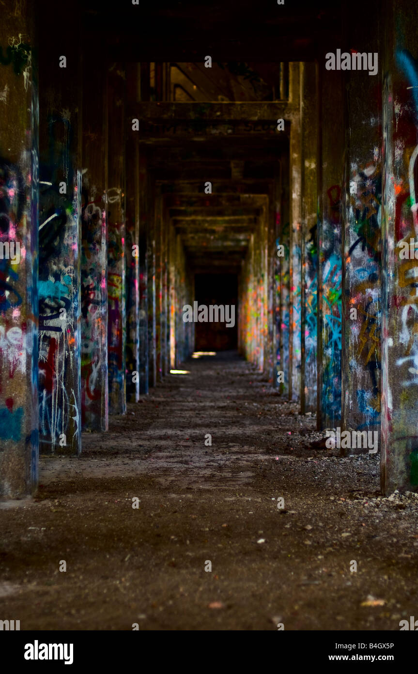 Rovine di American Appartamenti oro timbratura e fabbrica di elaborazione 1921 - 1925, Oro Hill, NV Foto Stock