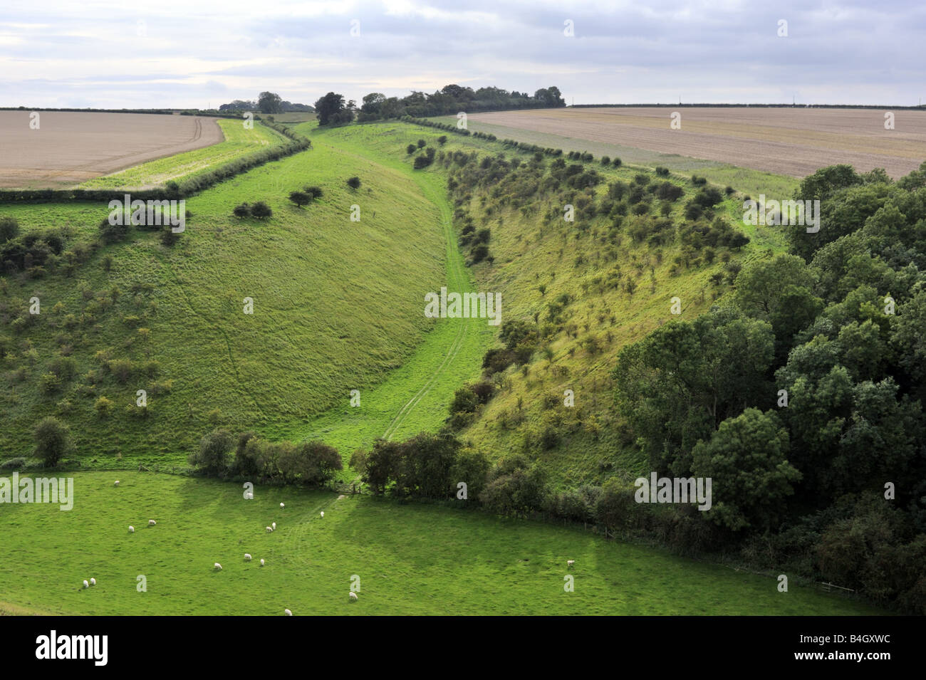 Valle di Yorkshire Wolds Way National Trail vicino Fridaythorpe, North Yorkshire Foto Stock
