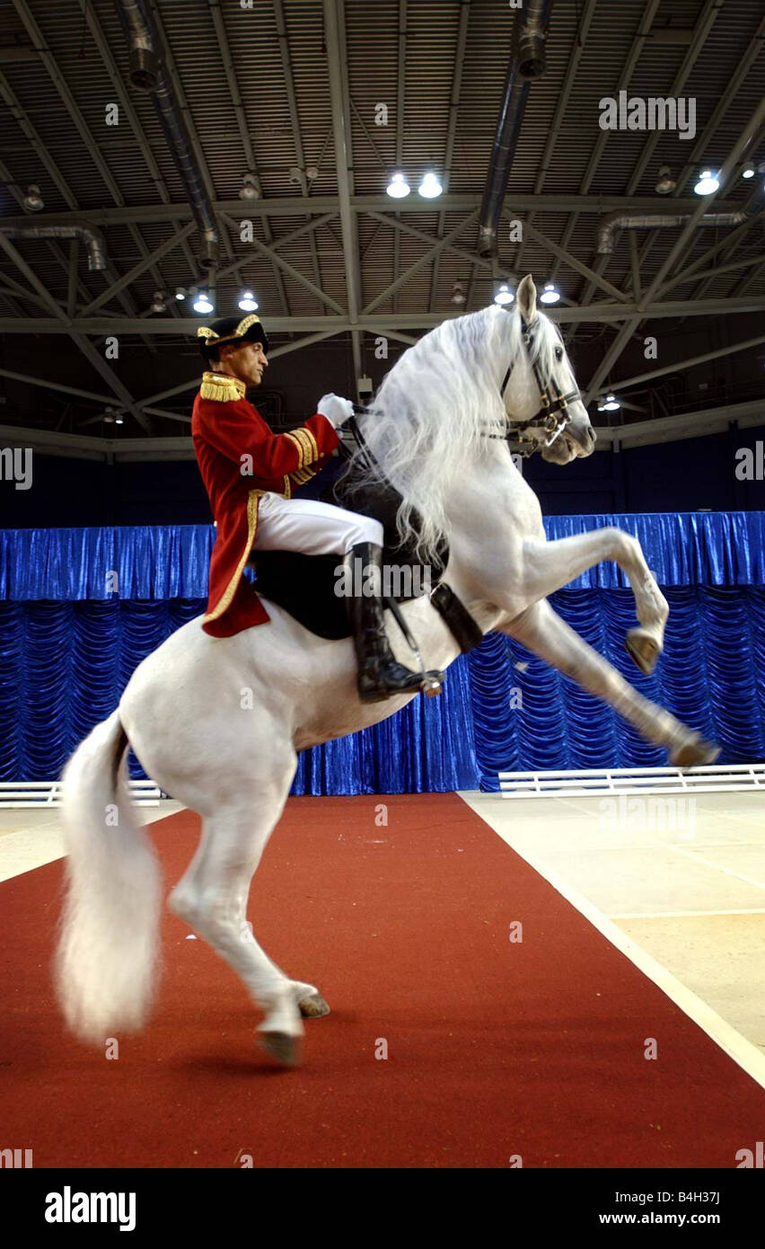 Lipizzani show a Braehead Arena Rider Redha Gharasa e cavallo carisma Aprile 2003 Foto Stock