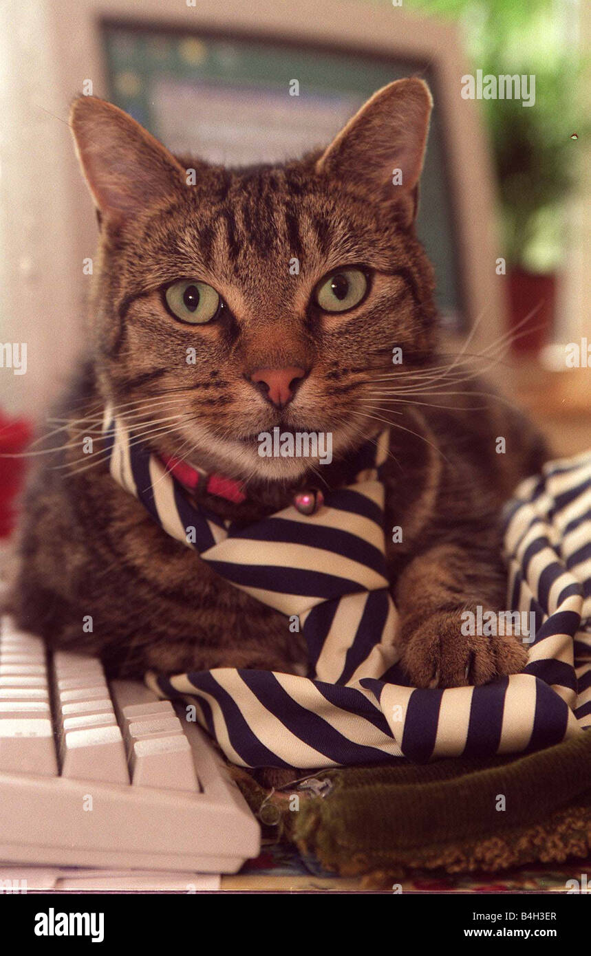 News Letter Business includono sett 1999 George il gatto direttore della società Foto Stock