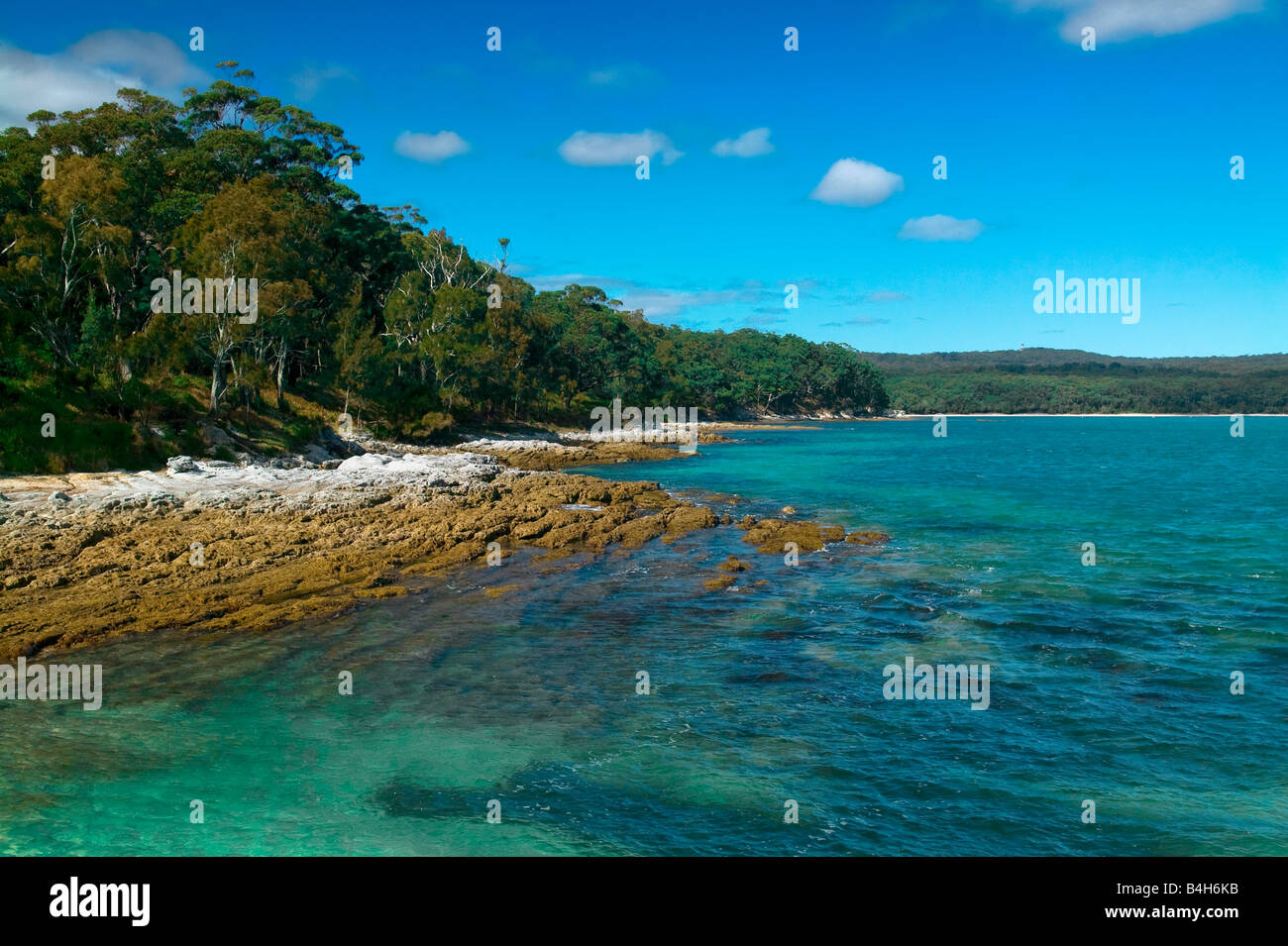 Spiaggia MURRAYS BOODEREE National Park in Jervis Bay Nuova Galles del Sud Australia Foto Stock