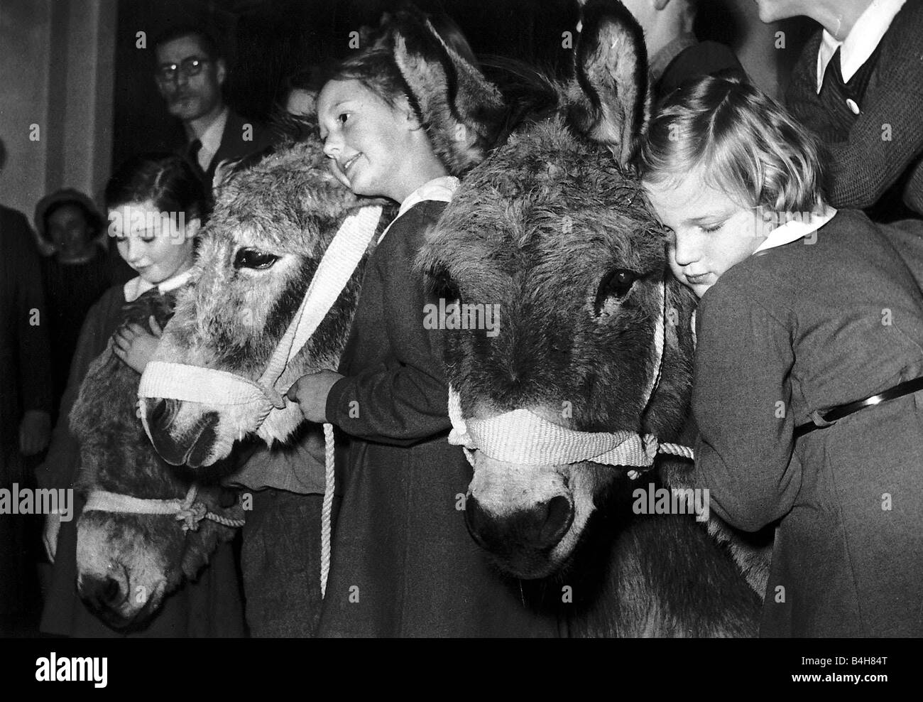 La scuola dei bambini salvare un asino sollevando 60 in modo che possano andare a una fattoria di pensionamento invece di essere abbattuti perché avevano raggiunto la grande vecchia età di 10anni Foto Stock