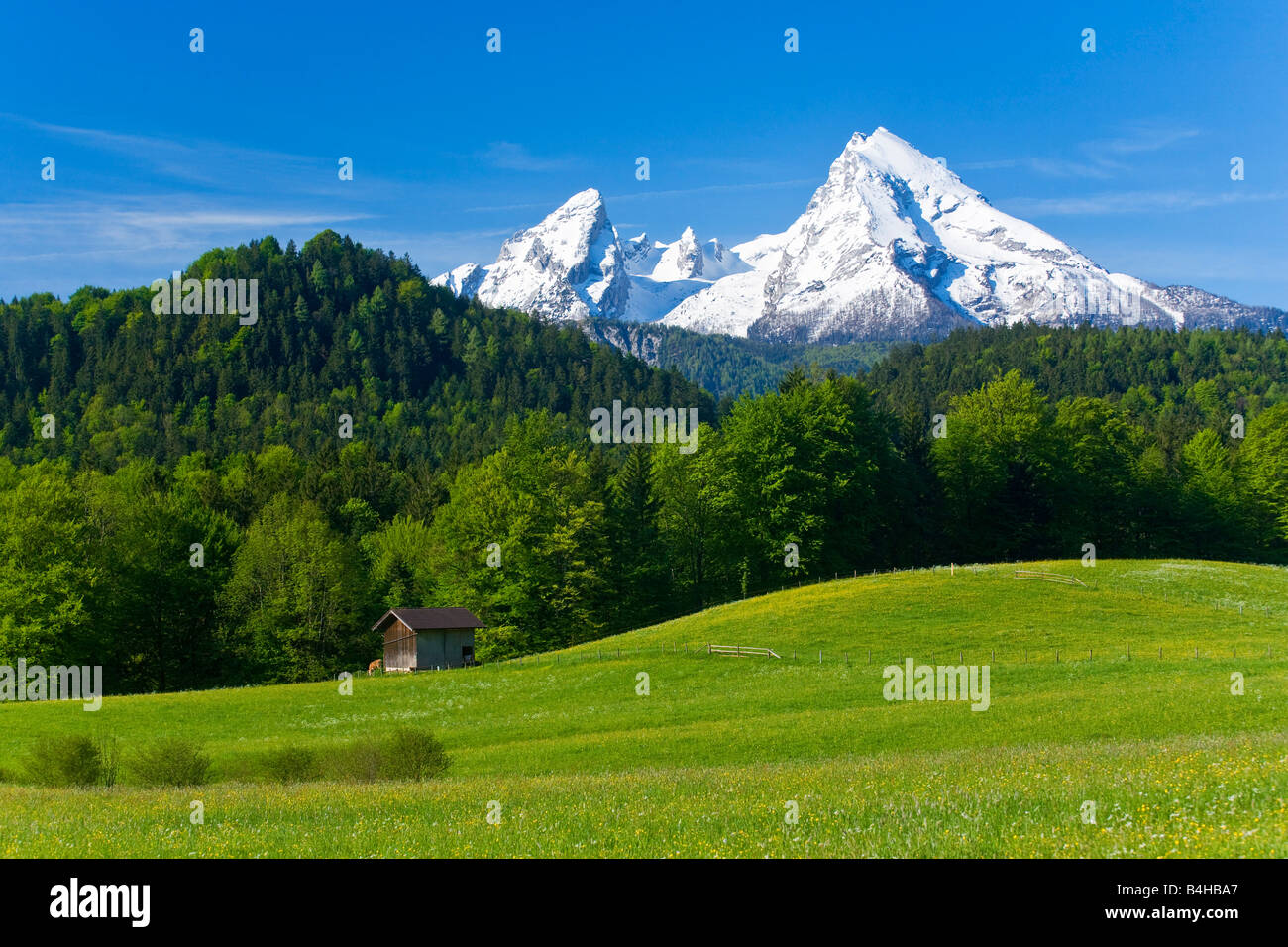 Log Cabin in campo, Watzmann, sulle Alpi di Berchtesgaden, Baviera, Germania Foto Stock