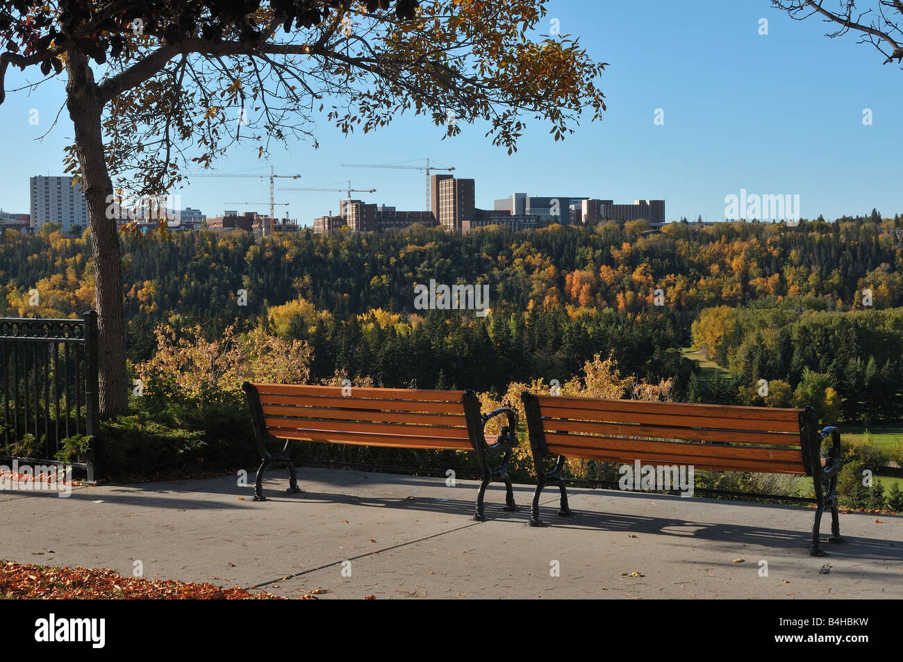 Panchine da Parco Foto Stock