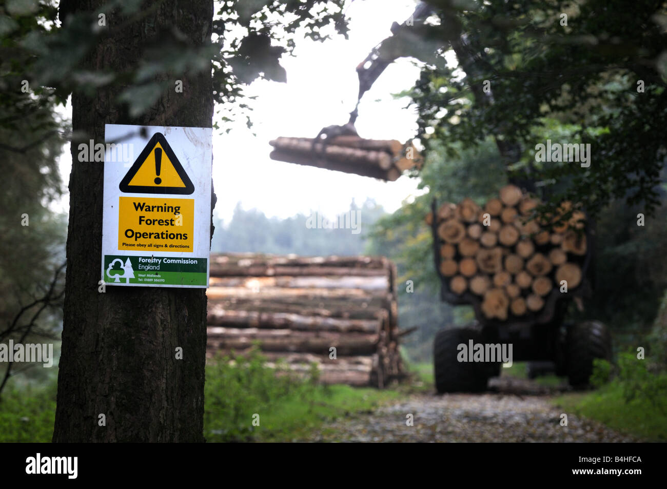 Silvicoltura nei pressi di Bridgnorth, Shropshire Inghilterra Foto Stock