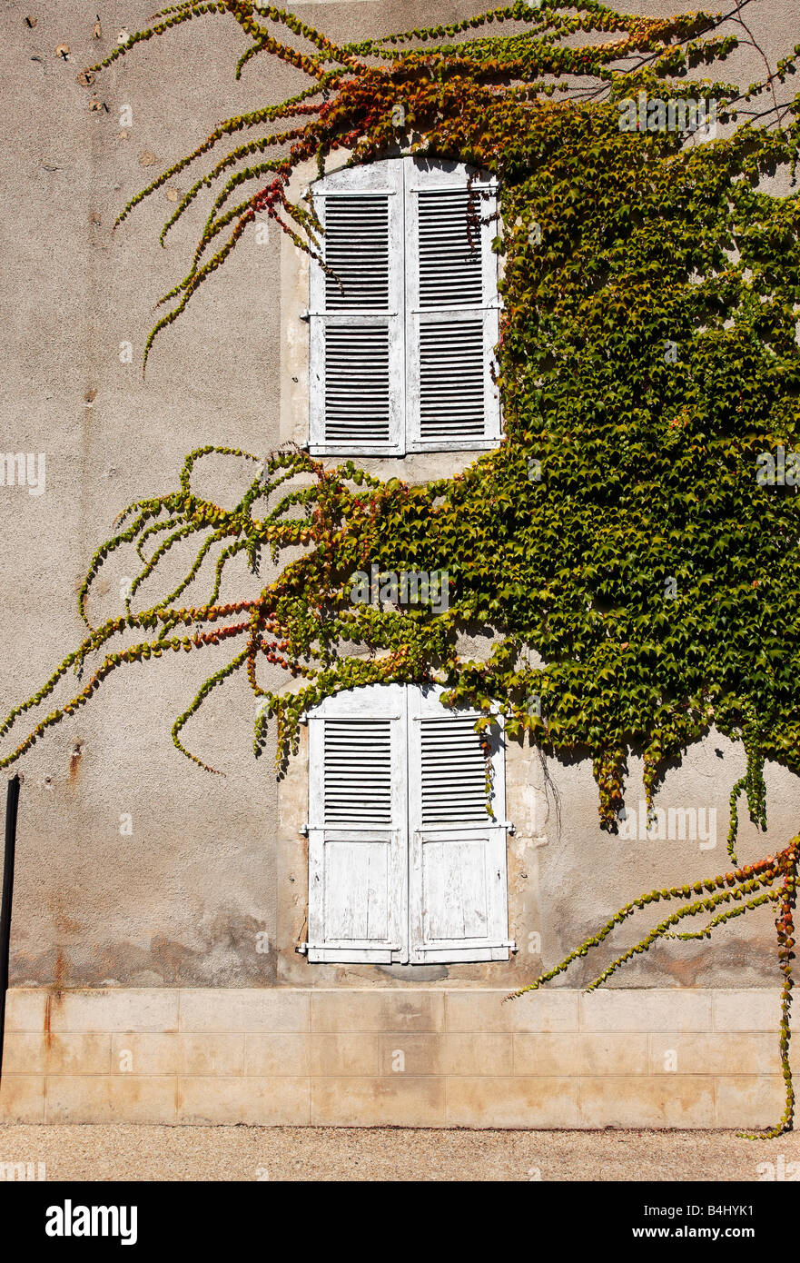 Un edificio francese con Ivy crescente su di esso Foto Stock
