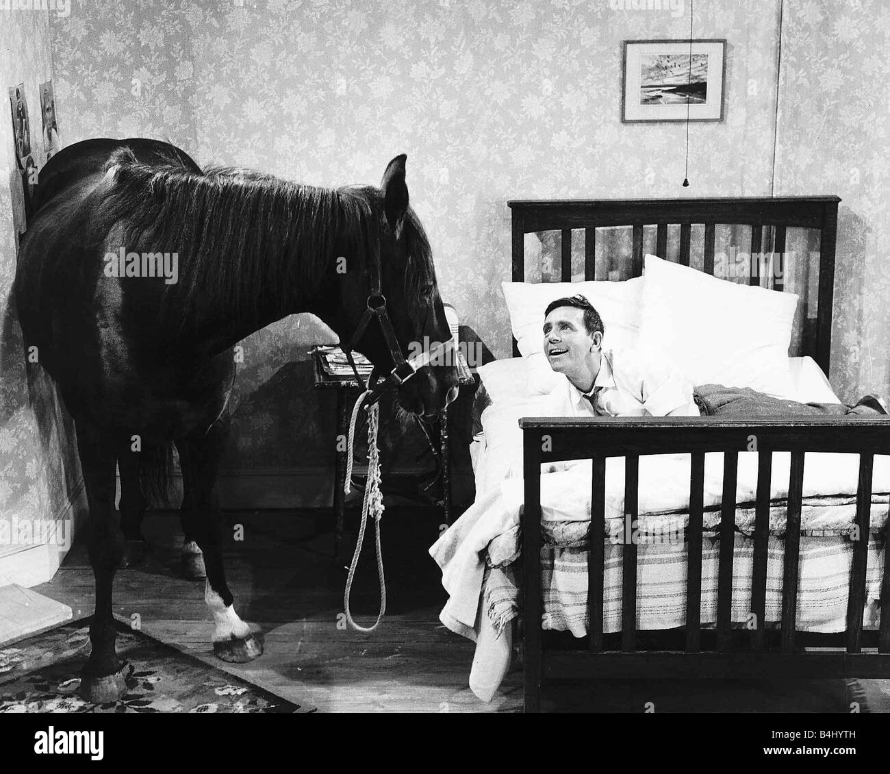 Norman saggezza attore comico con Nellie il cavallo in una scena del film The Early Bird Foto Stock
