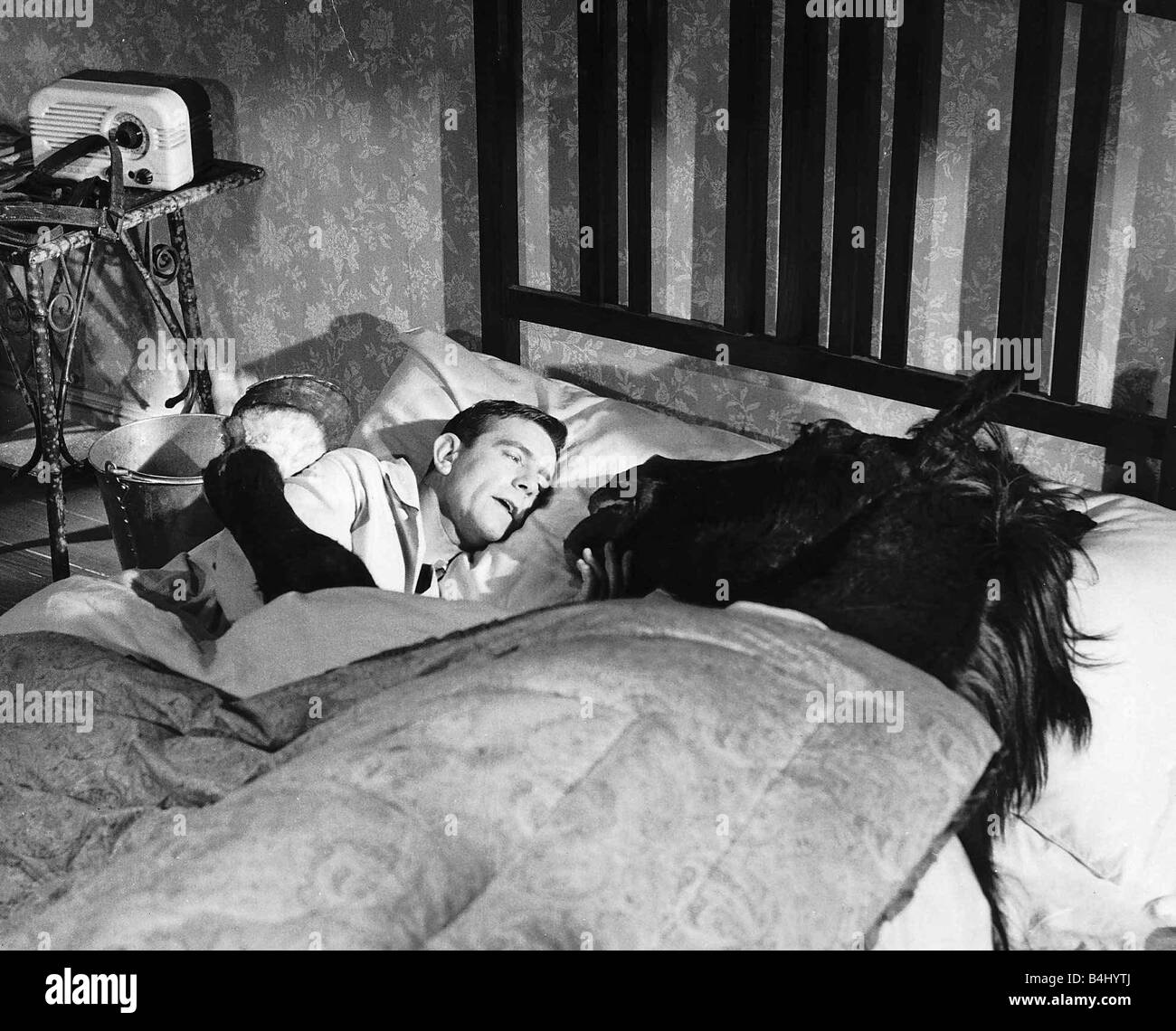 Norman saggezza comico attore nel letto con Nellie il cavallo in una scena del film The Early Bird Foto Stock