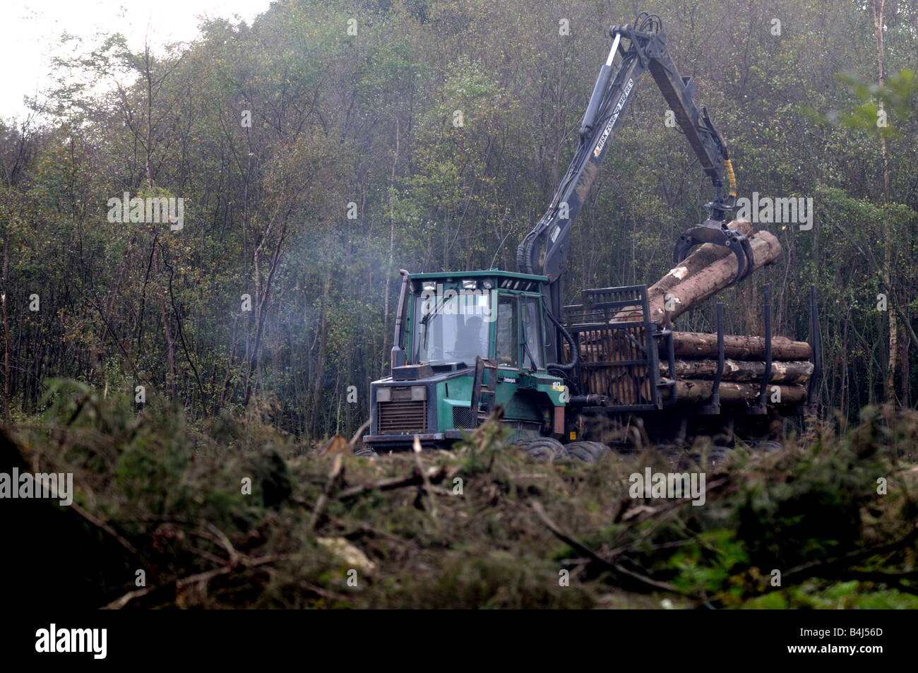 Silvicoltura nei pressi di Bridgnorth nello Shropshire, Regno Unito Foto Stock