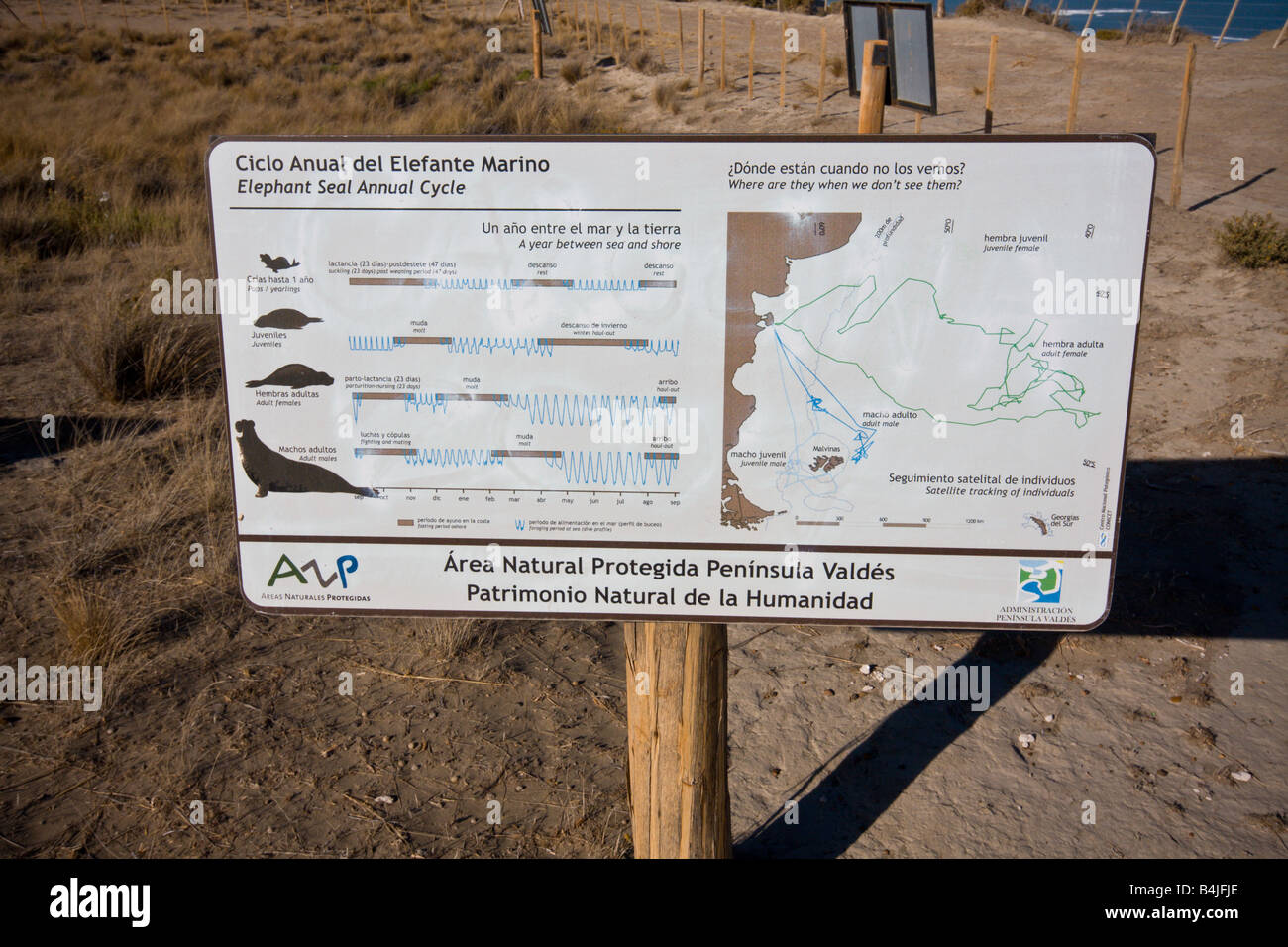 Un segno che mostra il ciclo manuale dell'elefante marino guarnizione in Penisola Valdes fauna marina riserva. In Patagonia , Argentina. Foto Stock
