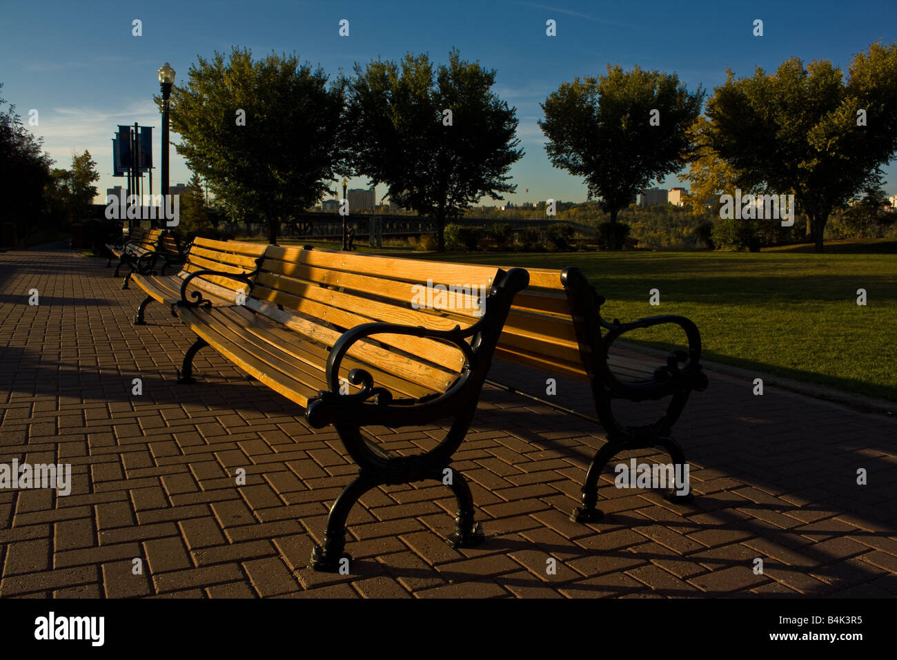 Panche in un parco della città Foto Stock