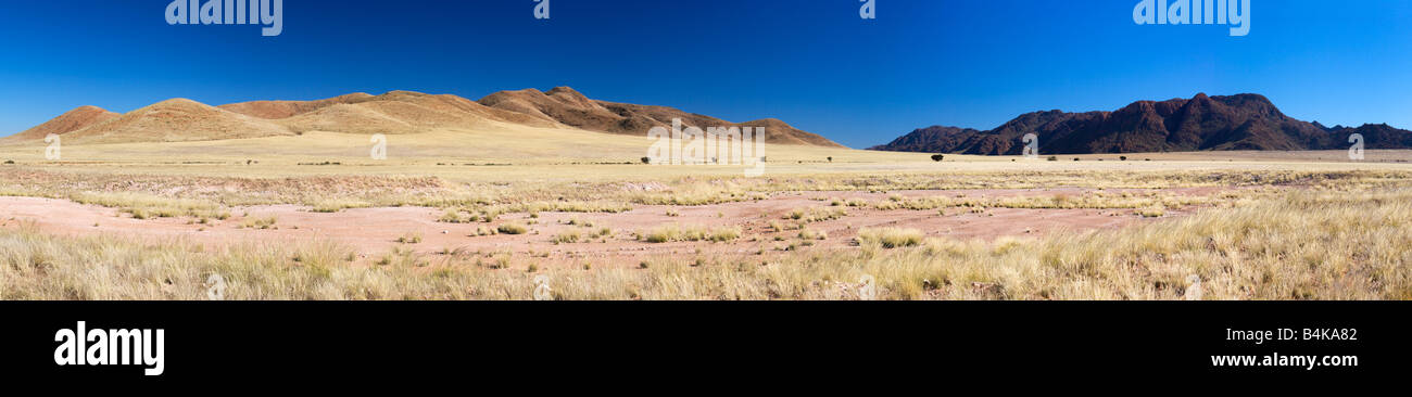 Paesaggio della Namibia Foto Stock