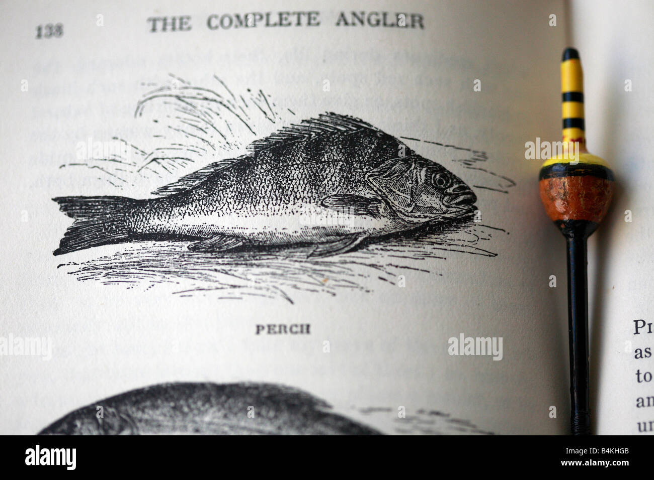 Prenota illustrazione di un pesce persico, pesca con galleggiante. Foto Stock