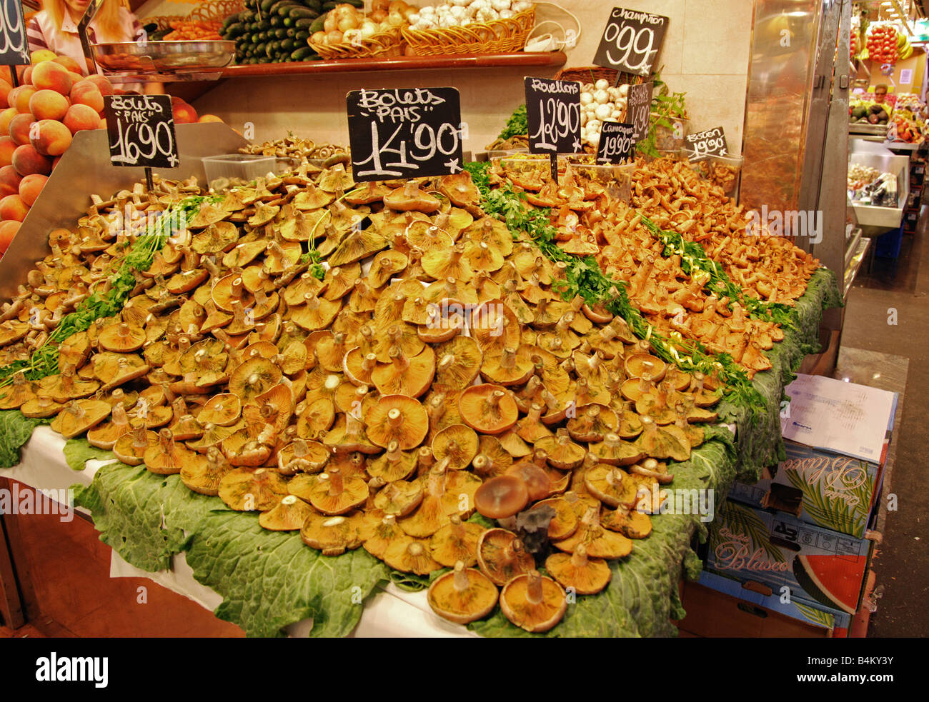 I funghi in vendita su 'La Boqueria' di mercato, Barcellona, Spagna Foto Stock