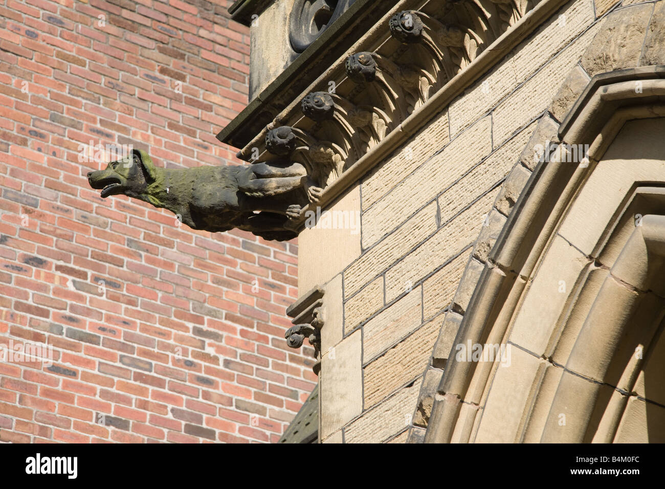 Gargoyle sulla facciata della chiesa Foto Stock