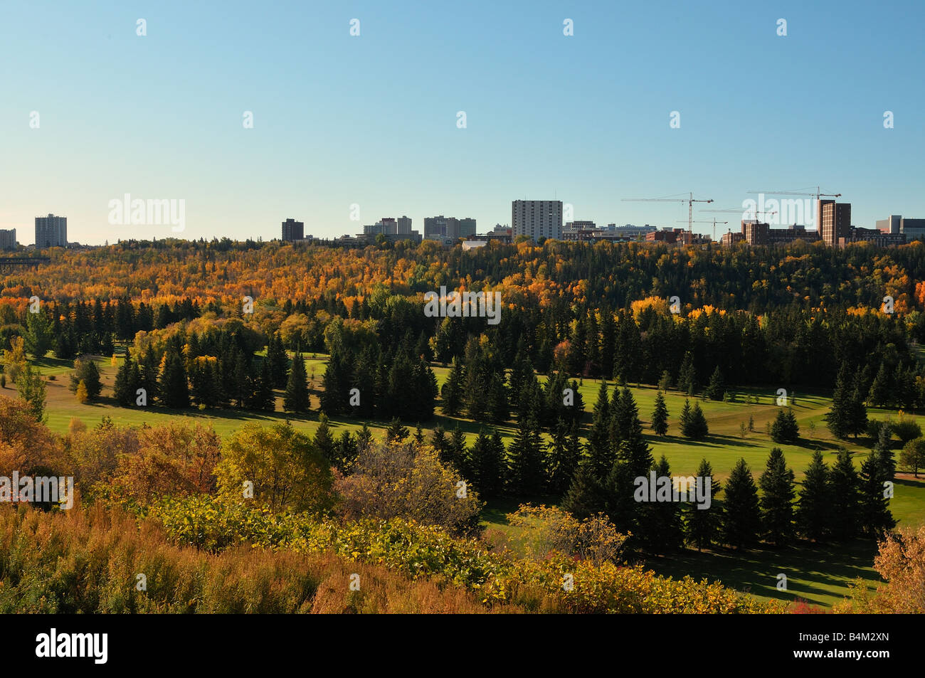 Gru a Torre Foto Stock