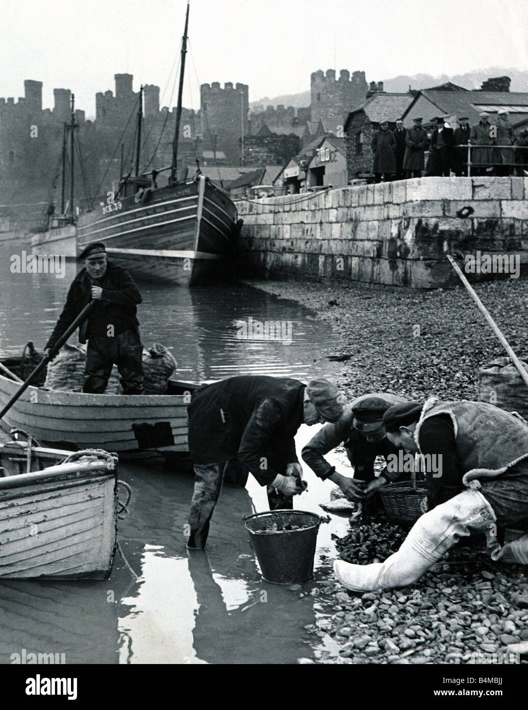 Una vista generale del castello di Conway in Galles Conway Harbour è in primo piano fiume pescatori di cozze di ordinamento sulla riva in prossimità della banchina di castello di Conway è stato progettato per la King Edward Ho dal maestro Giacomo di St George e fu costruita tra il 1283 e il 1289 Scenic Travel paesaggio orizzontale Galles gallese Travel Tourist Scenic Resort Holiday vista generale attività di pesca i pescherecci con reti da traino barche di marzo 1953 Foto Stock