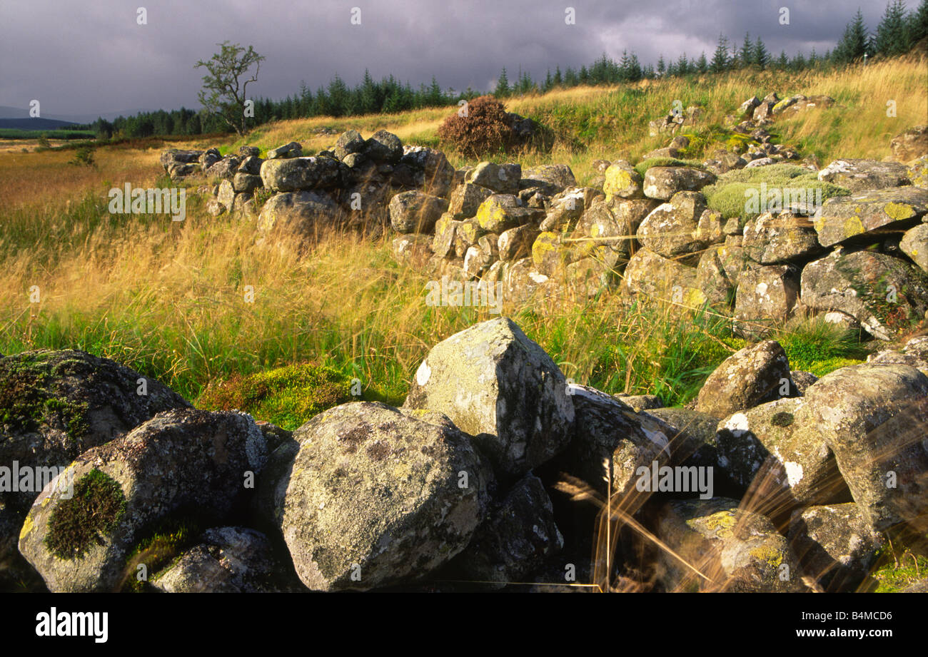 Polmaddy un classico Galloway del conflitto basata sull agricoltura di sussistenza in Galloway Scotland Regno Unito Foto Stock
