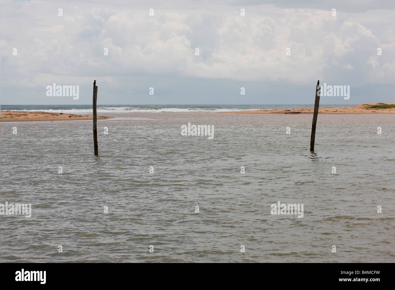 Due poli in acqua vicino alla bocca del mare in Kerala, India Foto Stock
