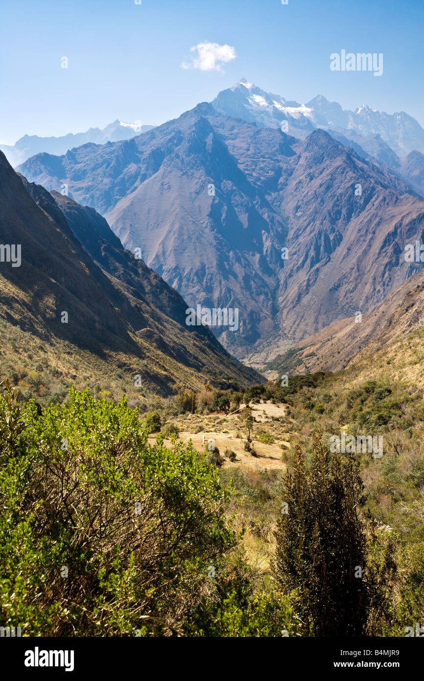 Vista dall'Inca Trail,Camino Inka,vicino Llulluchapampa oltre l'alto Ande del Perù il secondo giorno due dei quattro giorni di trekking Foto Stock