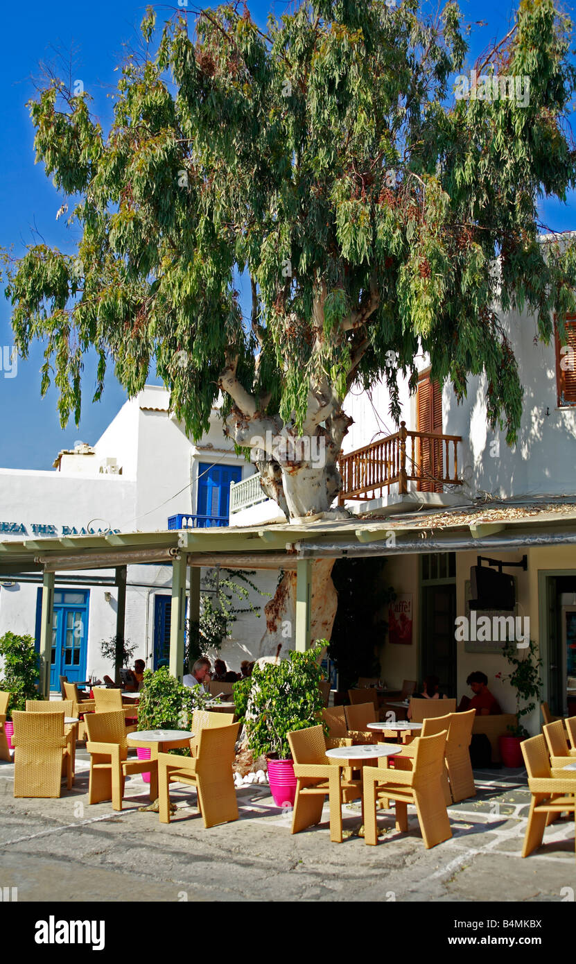 Taverna Greca Naousa Naoussa Cicladi isola Paros Grecia Foto Stock