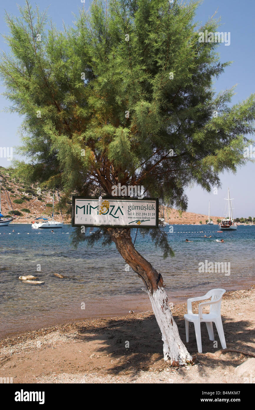 Segno sull'albero accanto al mare pubblicità Mimoza ristorante a Gumusluk, Turchia Foto Stock