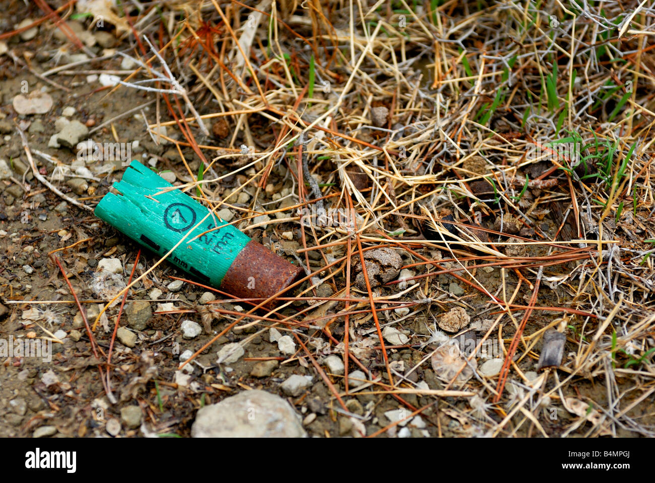 Guscio usato giacente nella foresta terreno Foto Stock