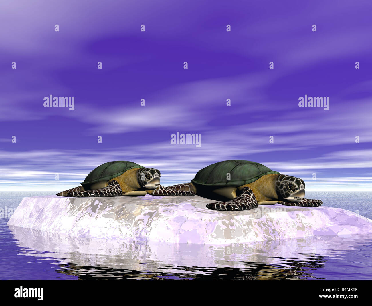 Due tartarughe di mare su un flusso di ghiaccio Foto Stock