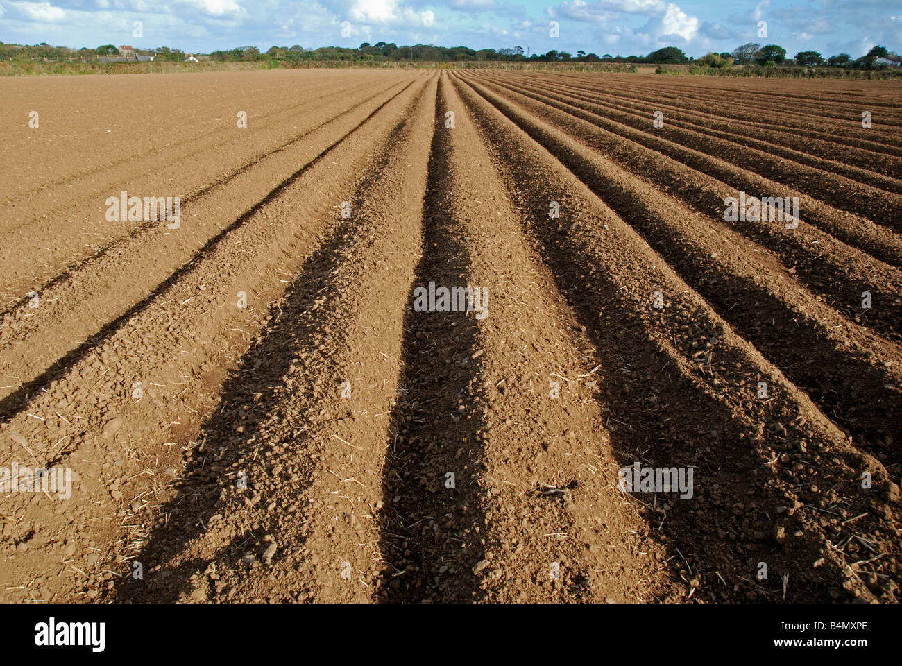 Un campo arato vicino a Ormskirk in Lancashire,l'Inghilterra,uk Foto Stock