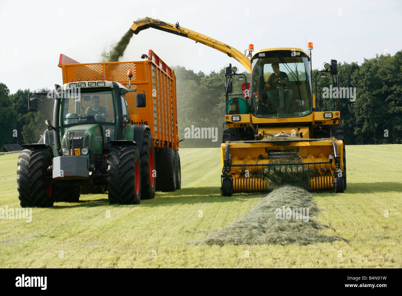 La raccolta di erba nei Paesi Bassi è utilizzato per alimentare animali durante il periodo invernale Foto Stock