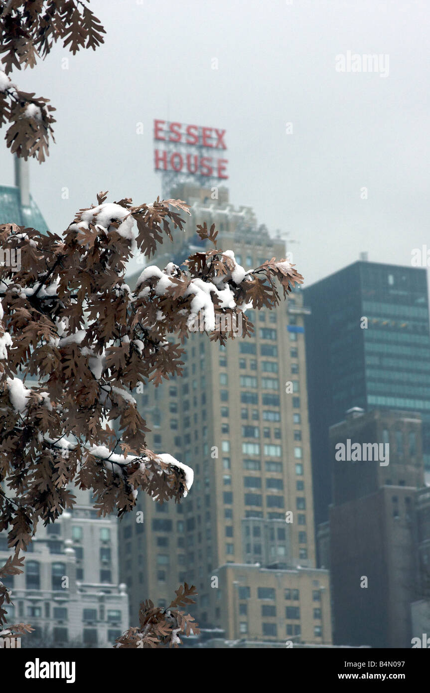 Vista sfocata dell'Essex House Hotel attraverso un albero coperto di neve da Central Park. Foto Stock