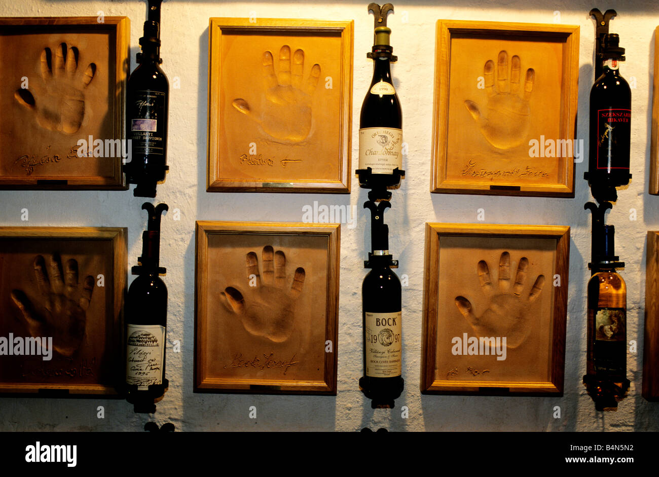 La mano di stampe di vari produttori di vino ungheresi insieme con gli esempi dei loro vini presso la Casa ungherese di vini Foto Stock
