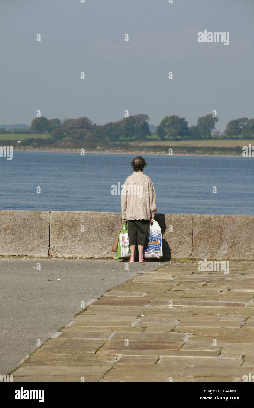 La donna il trasporto delle borse della spesa a Caernarfon, Galles Foto Stock