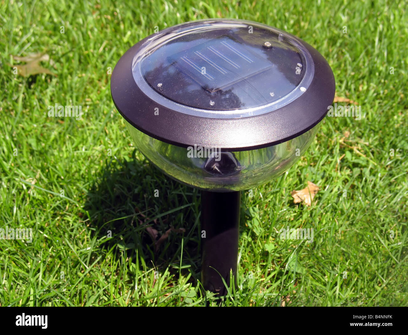 Un solare lampada da giardino Foto Stock