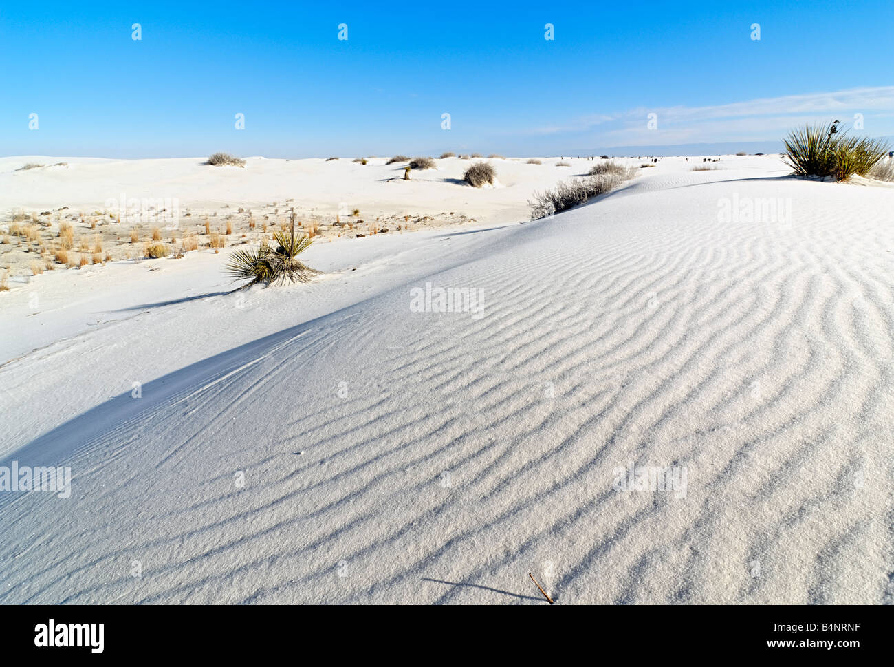 La mattina presto vista delle dune di sabbia in White Sands National Monument Foto Stock