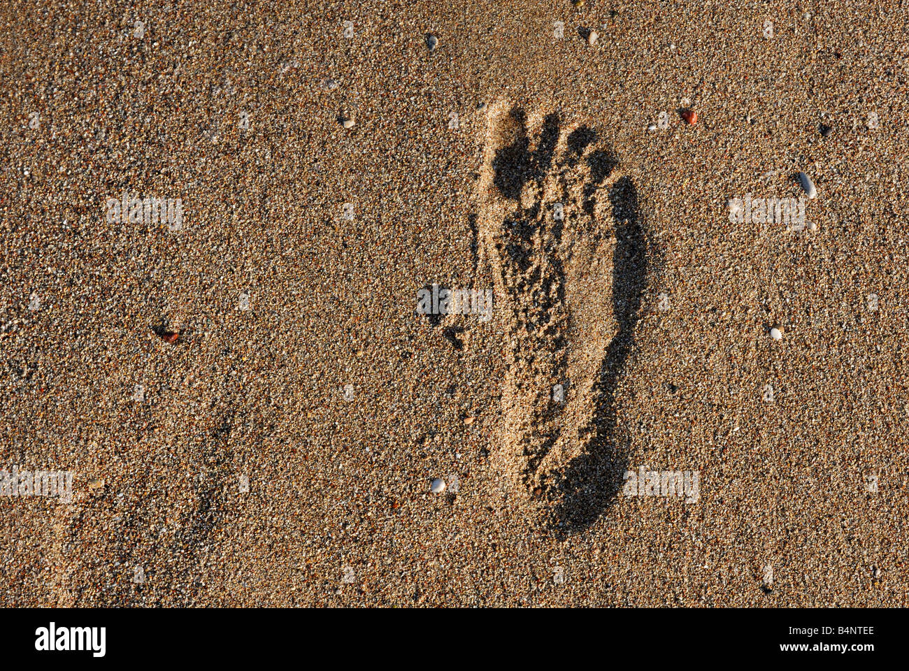 Un piede stampa in spiaggia di sabbia Foto Stock