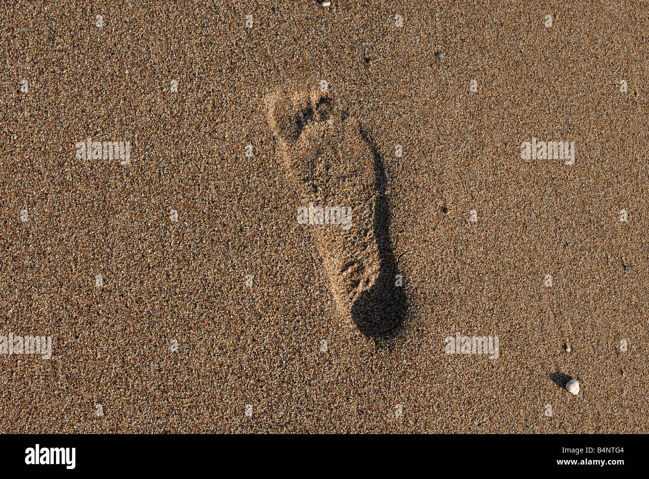 Un piede stampa in spiaggia di sabbia Foto Stock