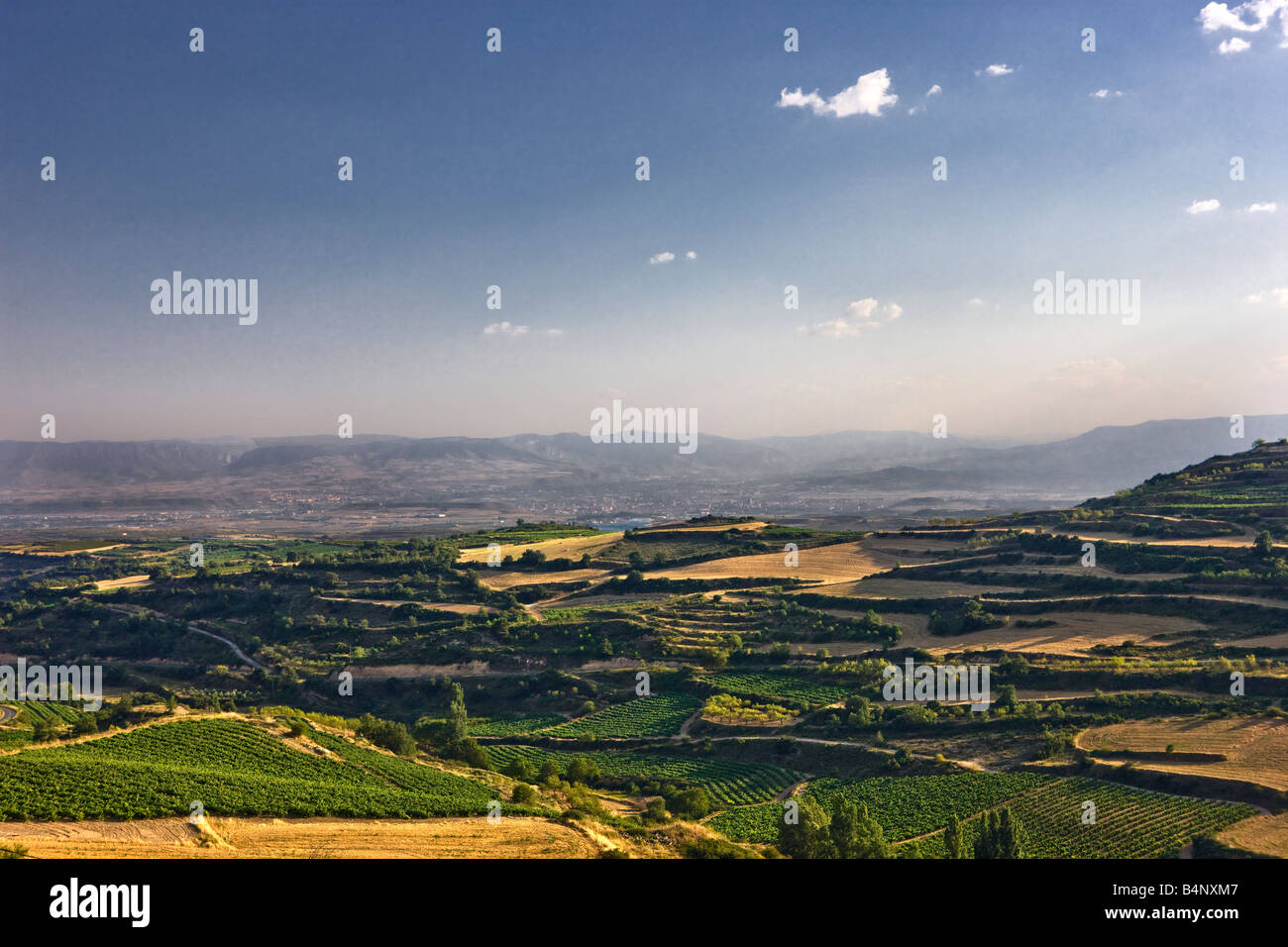 Il Rioka Alavesa regione di vini in Spagna Foto Stock