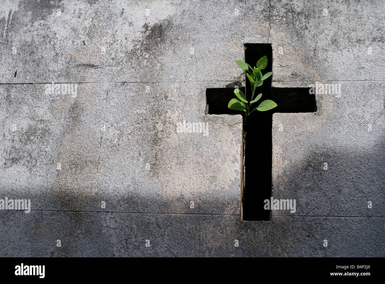 Un'apertura a croce in un mausoleo con un impianto di fuga verso la luce. Il Cimitero di Recoleta, Buenos Aires, Argentina Foto Stock