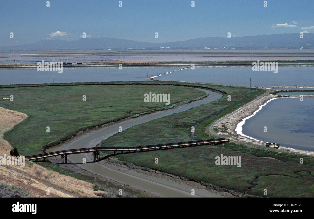 San Francisco Bay National Wildlife Refuge California USA più grande di noi rifugio urbano Foto Stock