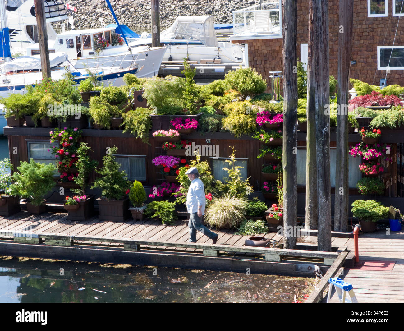 Houseboat galleggiante, porto, Gibsons, British Columbia, Canada Foto Stock