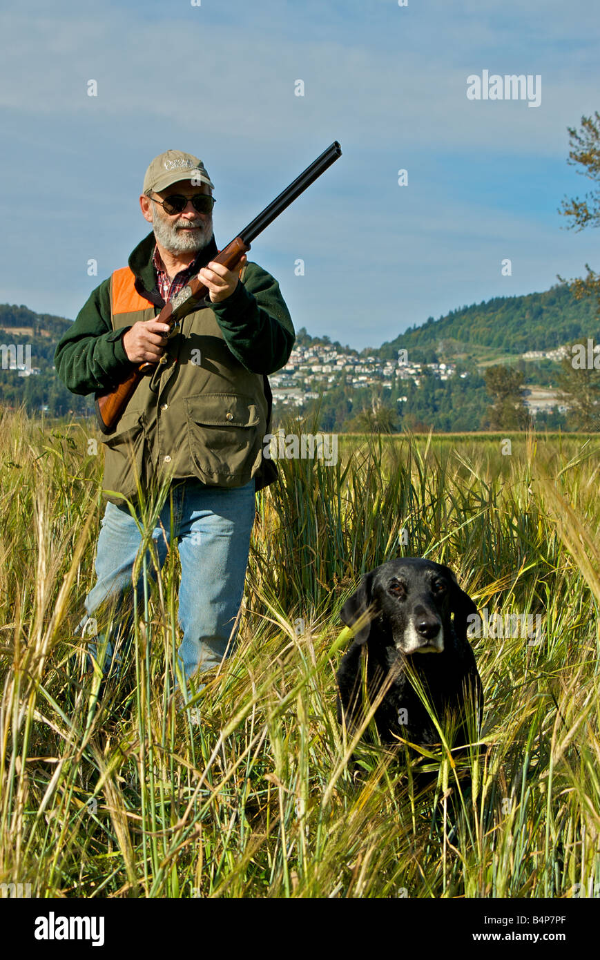 Hunter fagiano caccia con fucile sulla coppia labrador retriever in attesa di selvaggina a piuma per saltare Foto Stock